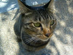 e640c1a1.jpg