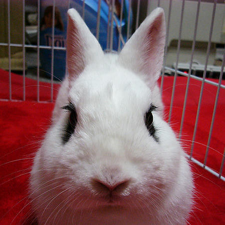 どーん