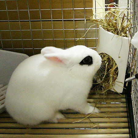 食べる食べる～