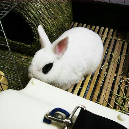 じらすんです