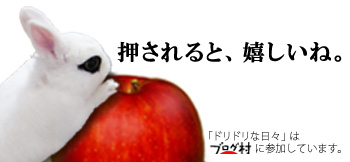にほんブログ村 うさぎブログ ドワーフホトへ