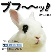 人気blogランキングへ