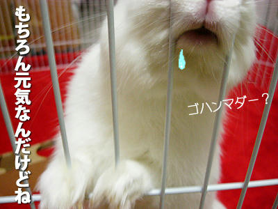 元気ですもちろん