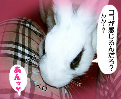ドリペロ内股