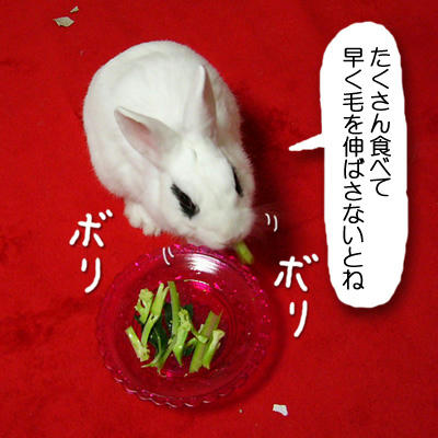 早く伸びろ