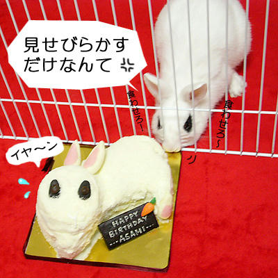 食わせろ