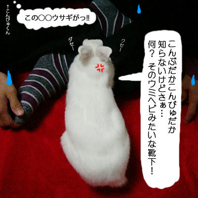 クセー