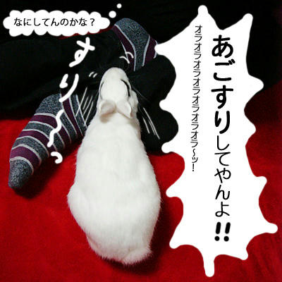 あごすり