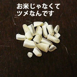 お米?