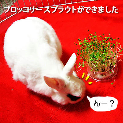 できました