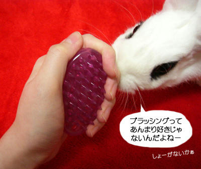 好きじゃないなー