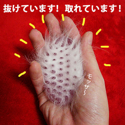 抜け取れ