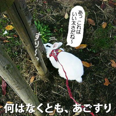 何はなくとも