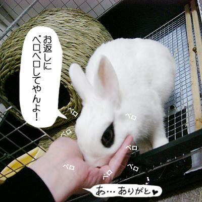 ペロペロしてやんよ
