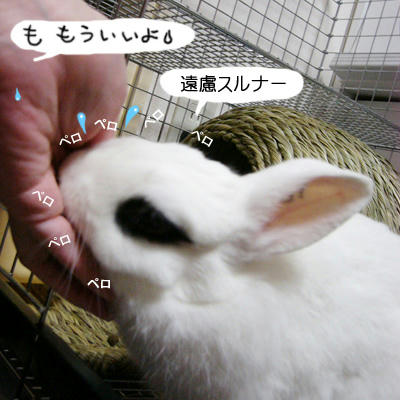 遠慮スルナー