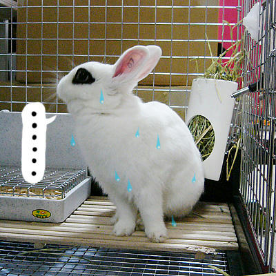 ・・・・・