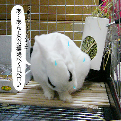 あんよのお掃除