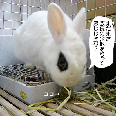 まだまだ