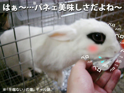 パネェ