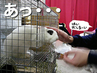 おしまーい
