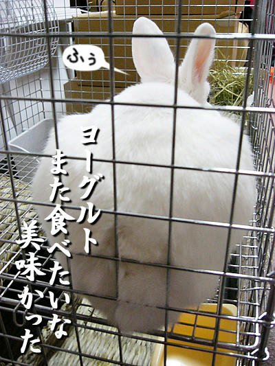 また食べたいな