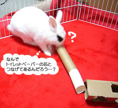 なんで？