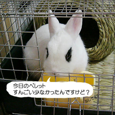 なして？