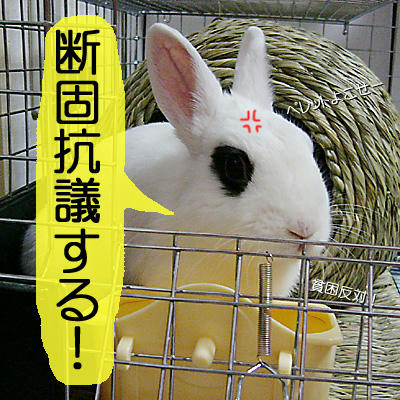断固抗議
