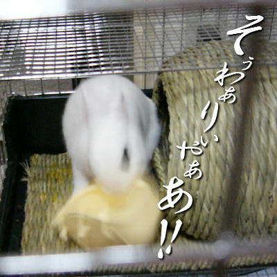そぅわりゃあ