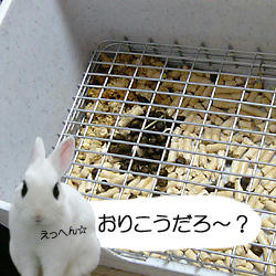 おりこうだろ？