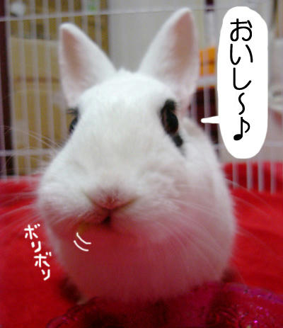 飯食えば忘れる