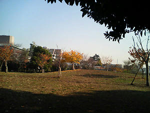 秋色公園