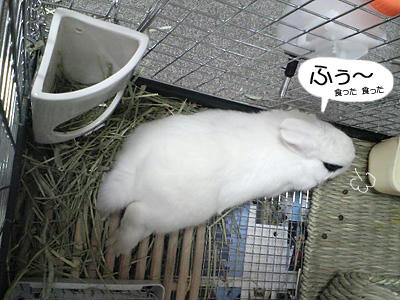 食った