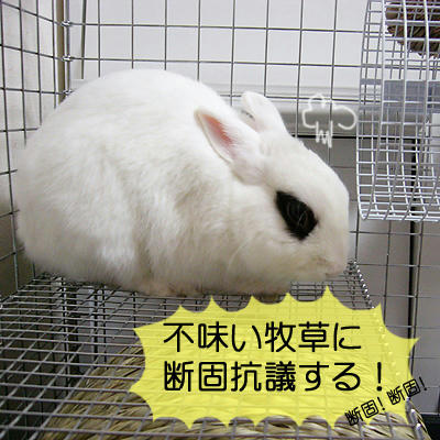 断固断固