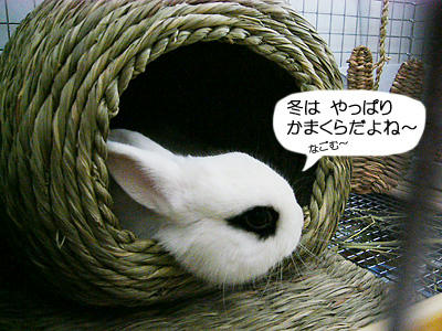 かまくら大好き