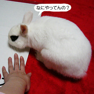 なにやってんの？