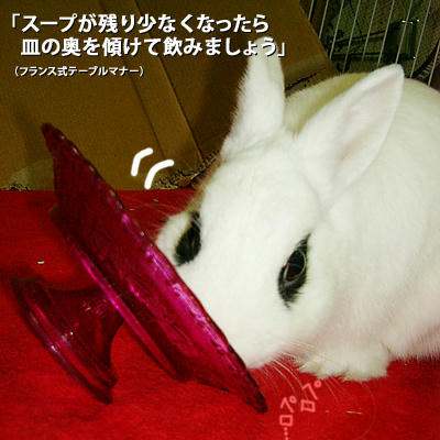 テーブルマナー
