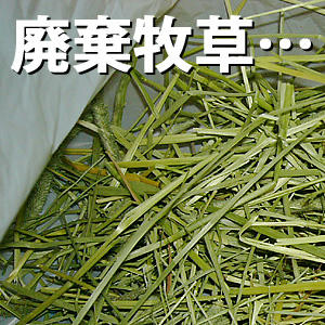 廃棄牧草