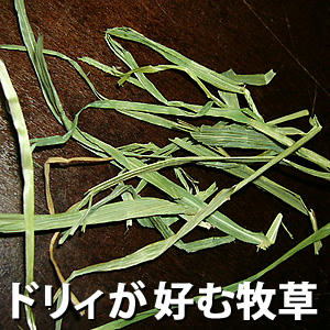 ドリ好み