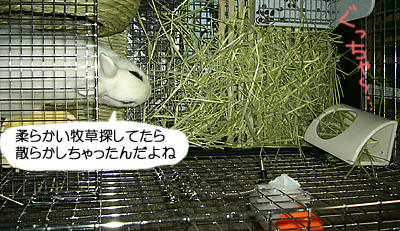 散らかしちゃった