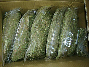 牧草市場さんの２番刈りソフト