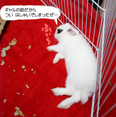 ふぃー