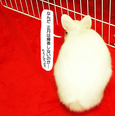 ちょっとがっかり