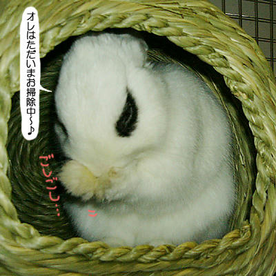 お掃除中♪