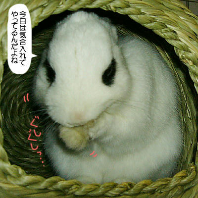気合入れてやってる