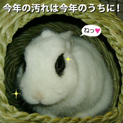 今年の汚れは今年のうちに