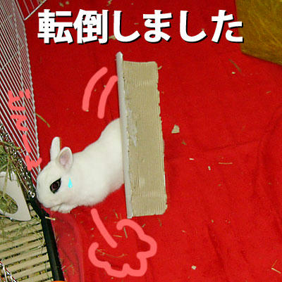 転倒しました