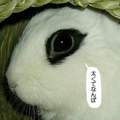 太くてなんぼ