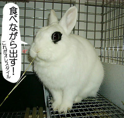 オレスタイル