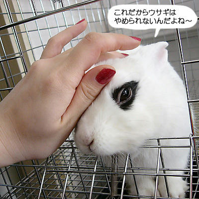 E気持ち！